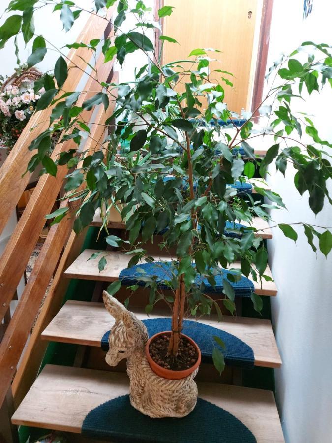 普图伊Apartma Reich公寓 外观 照片